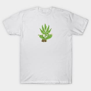 Cardamom Botancial T-Shirt